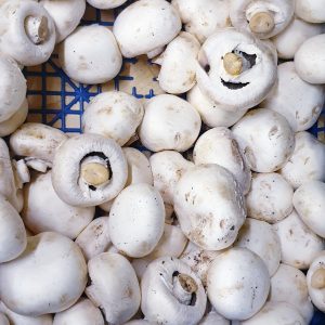 Fresh Mushroom 1kg